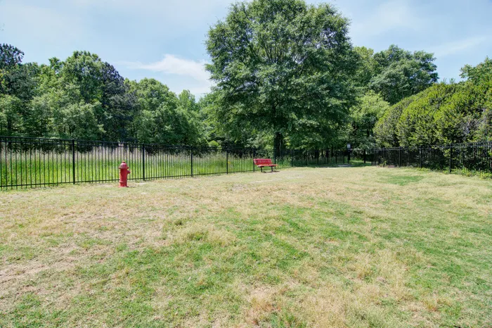 Inviting green space with a vibrant red bench, surrounded by lush trees and a black iron fence, perfect for relaxation and enjoying nature.