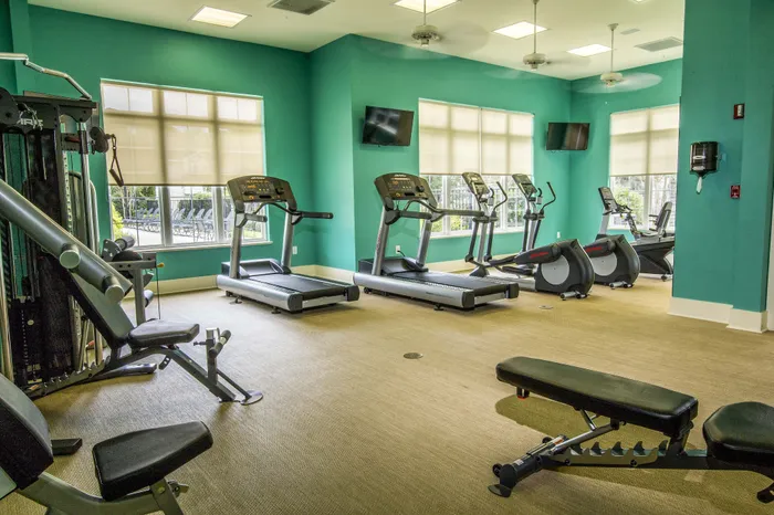 Modern fitness center with cardio machines, strength training equipment, and abundant natural light.