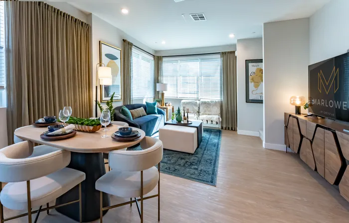 furnished living and dining room