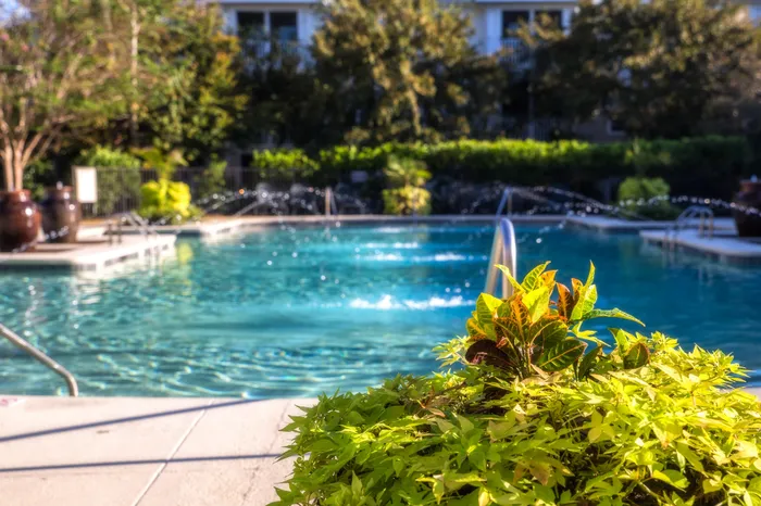 Luxurious apartment complex poolside retreat with vibrant greenery and sparkling blue water, perfect for relaxation and leisure.