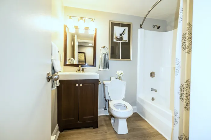 Bright and modern bathroom featuring a sleek vanity, elegant lighting, and a spacious shower-tub combo.