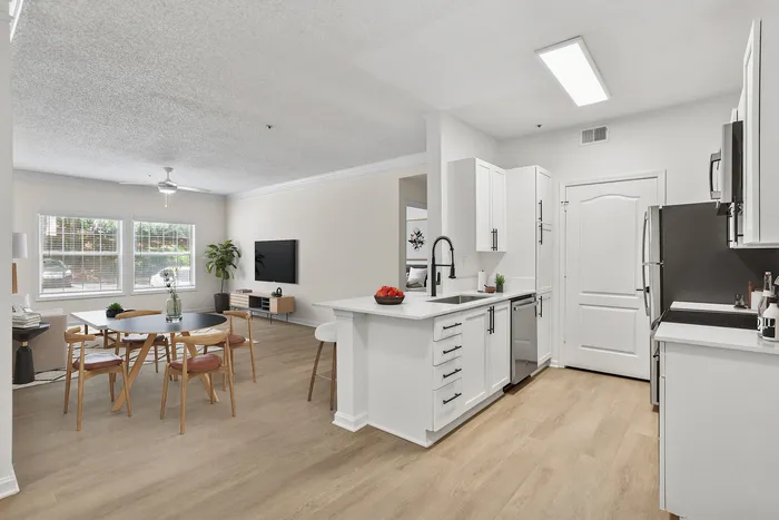 Kitchen/Living