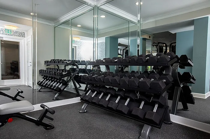 Modern apartment fitness room with mirrored walls and well-organized dumbbell rack.