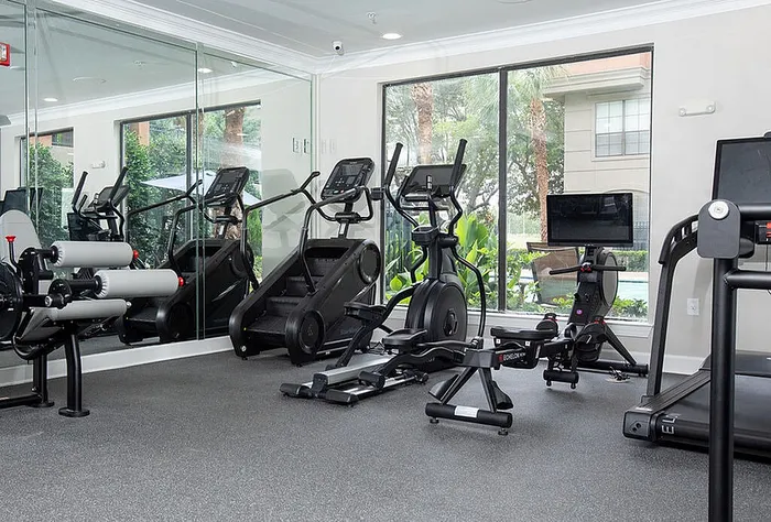Modern fitness center with cardio machines and a lush outdoor view, perfect for motivating workouts.