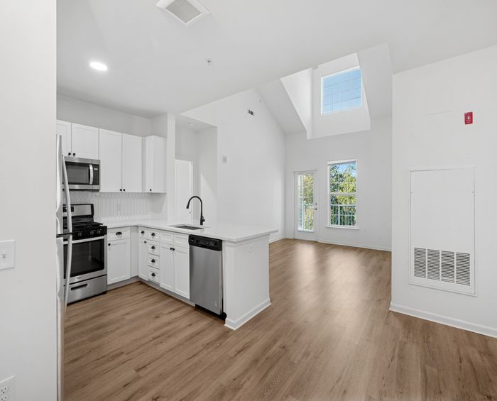 Modern open-concept kitchen with sleek stainless steel appliances, bright skylights, and spacious living area, perfect for stylish urban living.