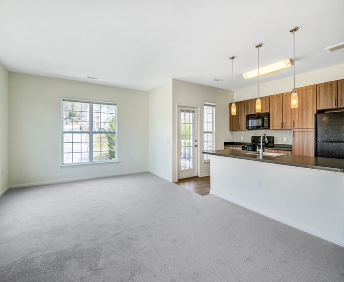 Bright and spacious open-plan apartment with large window, elegant kitchen with modern appliances, and cozy plush carpet.