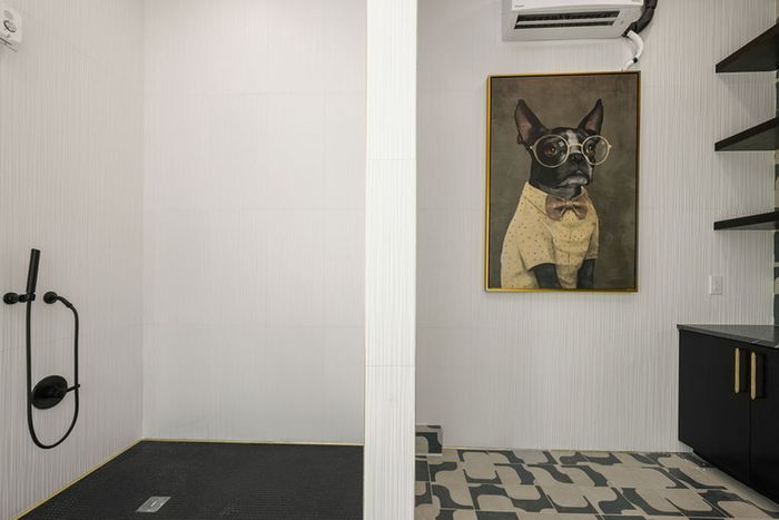 Elegant pet wash station featuring a modern shower with black fixtures, stylish wall art of a dog in glasses, and sleek shelving.