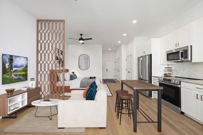 Modern open-concept studio apartment featuring a stylish kitchen with stainless steel appliances, cozy living area, and a spacious bedroom separated by an elegant partition.
