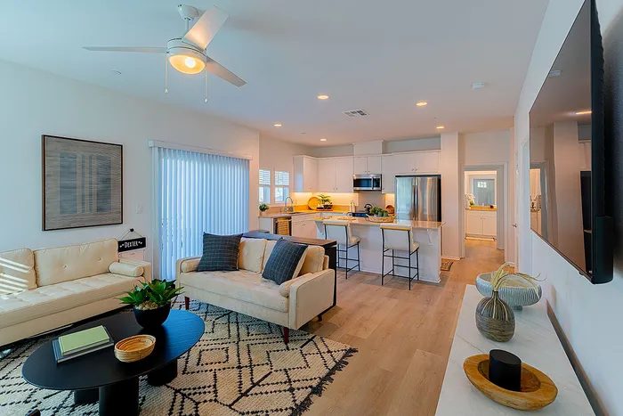 Modern open-concept living room and kitchen with sleek design, light wood flooring, and cozy seating area.