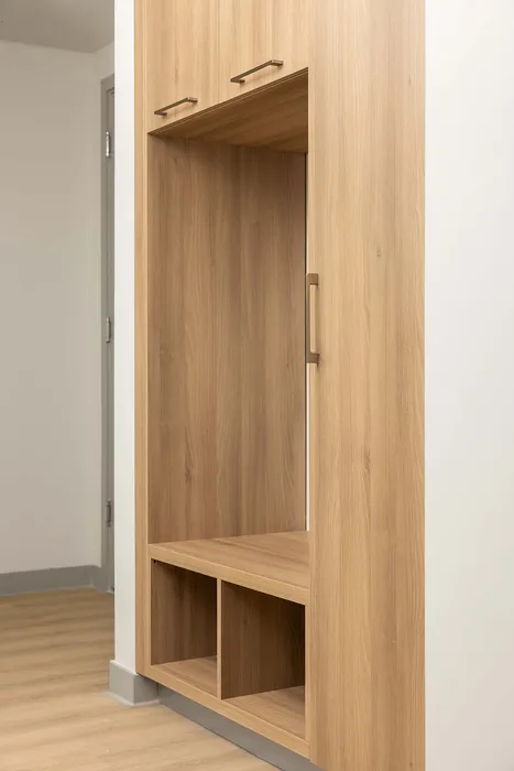 Elegant wooden entryway closet with modern handles, offering sleek storage solutions in a contemporary apartment setting.