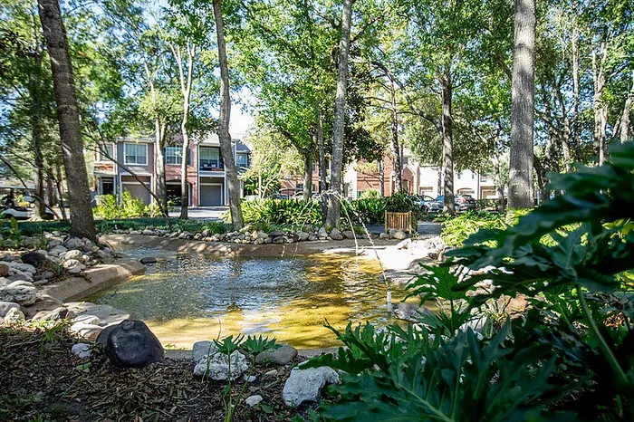 Landscaped pond