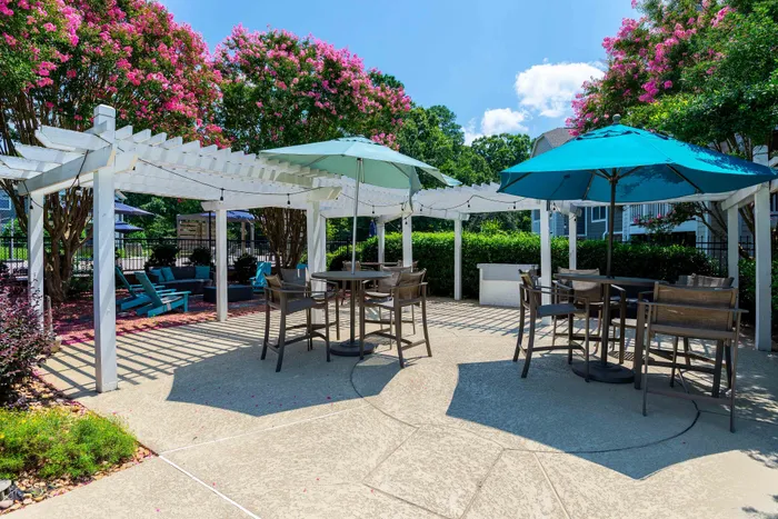 Charming outdoor patio with pergola, colorful umbrellas, and lush greenery, perfect for relaxation and social gatherings.
