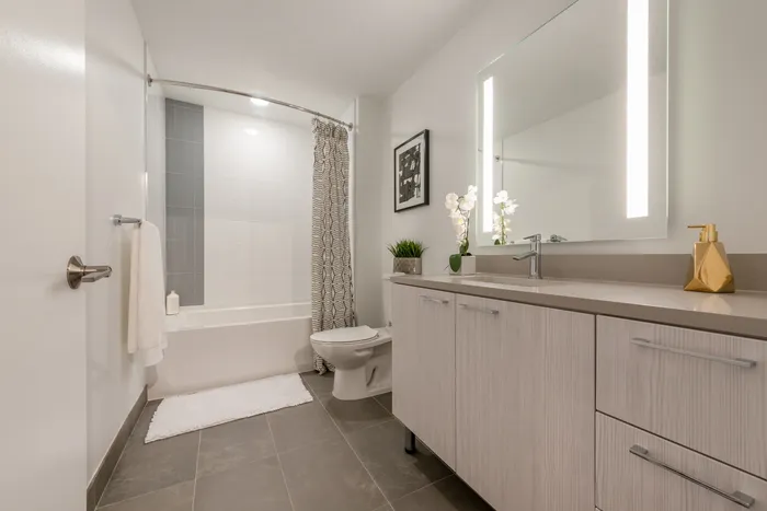 Elegant modern bathroom with sleek vanity, spacious bathtub, and stylish decor for a serene ambiance.