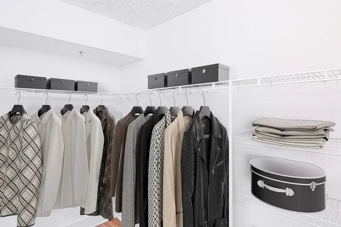 Spacious organized walk-in closet with elegant clothing, stylish storage boxes, and ample shelving space.