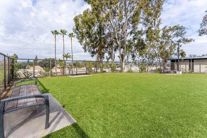 Dog Park