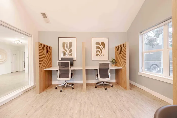 Modern home office with two stylish workstations, elegant decor, and abundant natural light.