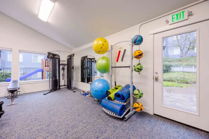 Modern apartment gym with exercise equipment, colorful yoga balls, and outdoor views for an energizing workout experience.