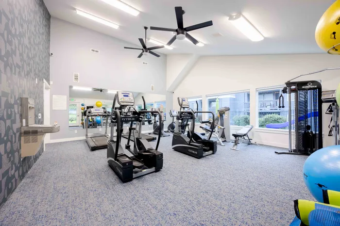 Bright and modern fitness center equipped with treadmills, strength machines, and large windows with scenic views.
