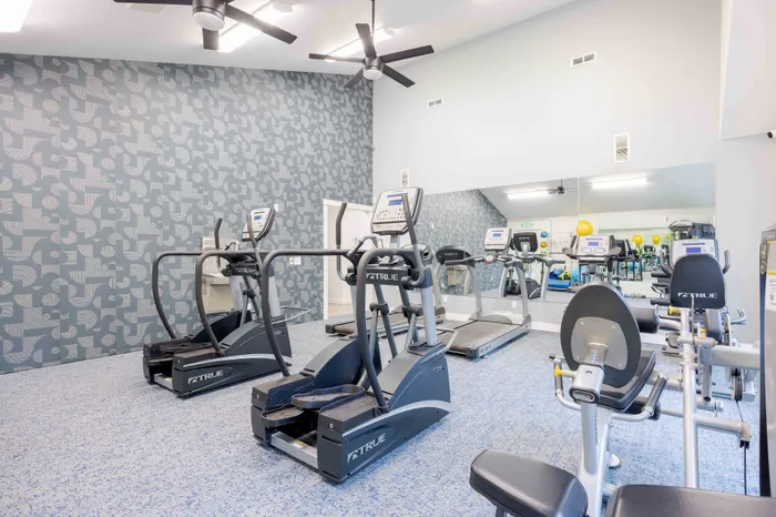 Modern fitness center featuring state-of-the-art exercise equipment, sleek decor, and vibrant atmosphere.