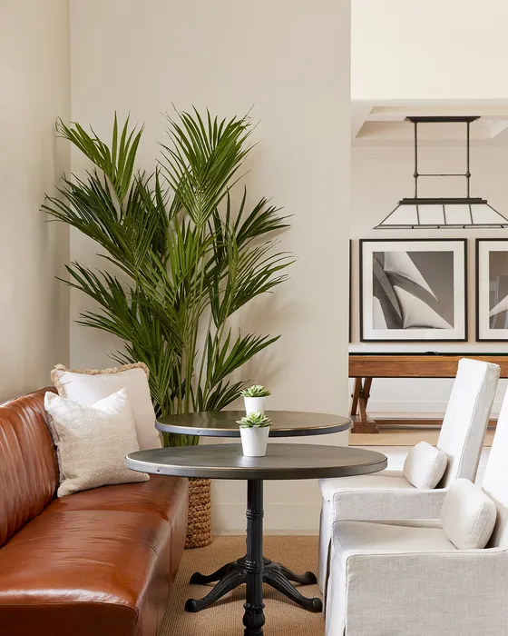 Inviting corner with stylish leather seating, elegant potted plants, and chic artwork, perfect for relaxation or social gatherings.