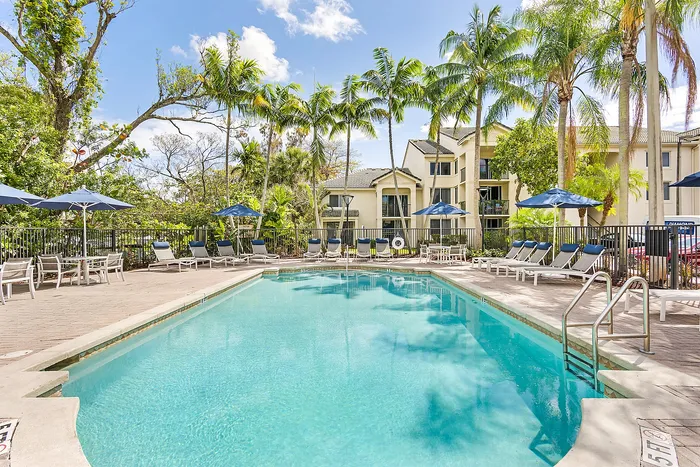 Tropical oasis showcasing a sparkling swimming pool surrounded by lush palm trees and elegant sun loungers at a desirable apartment complex.