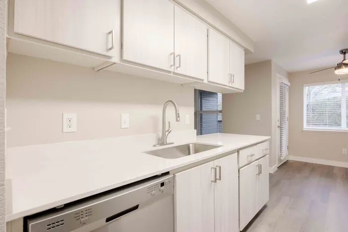 Bright and modern kitchen with sleek white cabinets, stainless steel sink, and energy-efficient dishwasher, perfect for stylish living.