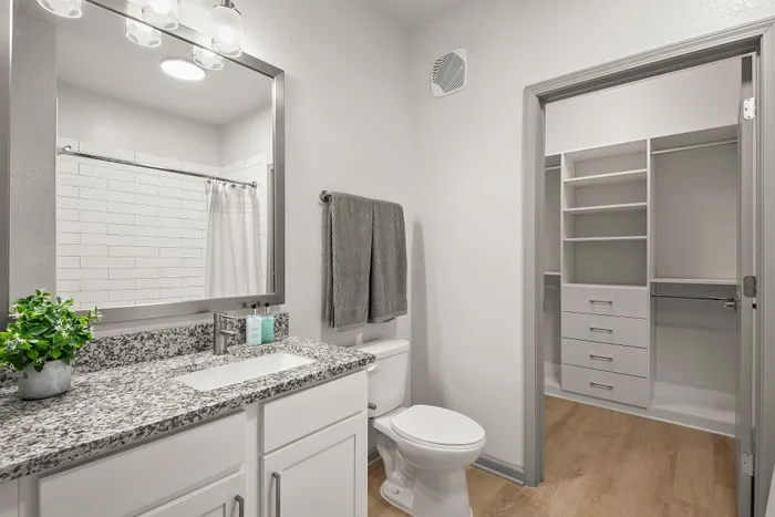 Modern bathroom with elegant granite countertops, under-sink storage, large mirror, and access to a spacious walk-in closet.