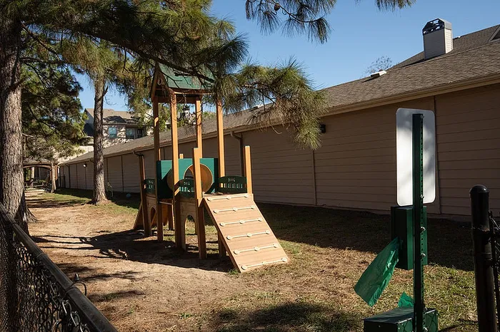 Charming outdoor pet playground area with a wooden play structure surrounded by lush trees, offering a perfect spot for fun and relaxation.
