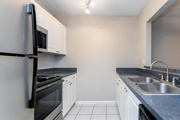 Modern kitchen with sleek stainless steel appliances, dual sinks, and ample white cabinetry for a fresh and inviting cooking space.