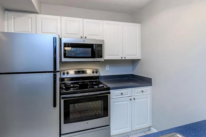 Modern kitchen with sleek stainless steel appliances and elegant cabinetry, offering a blend of style and functionality.