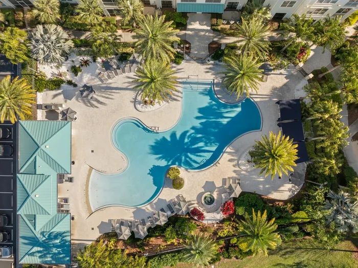 Aerial view of a luxurious resort-style swimming pool surrounded by lush palm trees and elegant lounge chairs, creating a tranquil oasis.