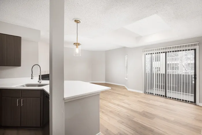 Modern open-concept apartment with sleek kitchen, wood flooring, and abundant natural light through large sliding doors.