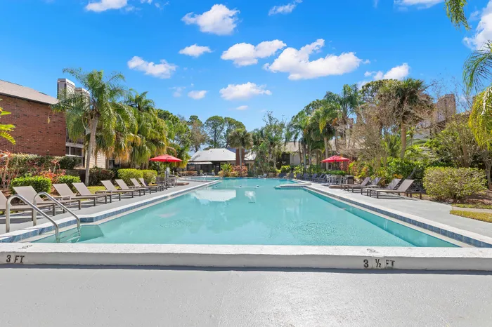 Luxurious outdoor pool area with sun loungers, vibrant umbrellas, and lush palm landscaping under a bright blue sky.