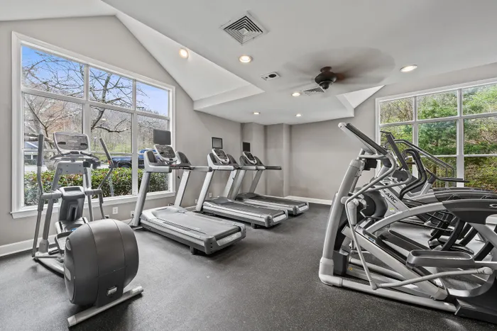 Modern gym facility with large windows, featuring multiple treadmills and elliptical machines for a dynamic workout experience.