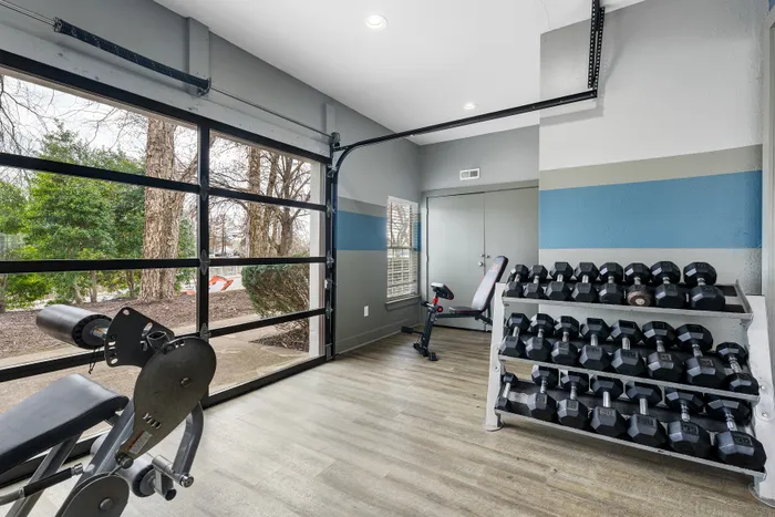 Bright, modern home gym with sleek weights and outdoor views through large glass doors.