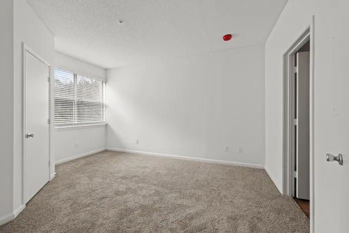 Bright and inviting bedroom with plush carpet, large window with blinds, and fresh neutral walls, perfect for personalization.