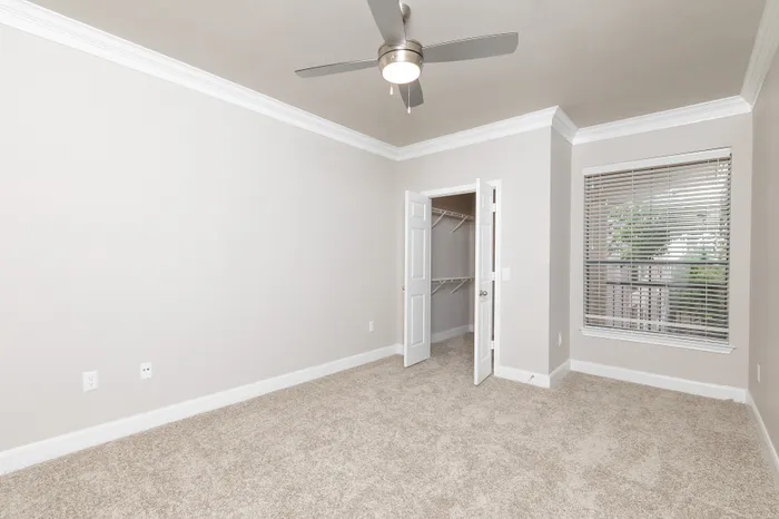 Bright bedroom with plush carpeting, ceiling fan, large window, and spacious walk-in closet.