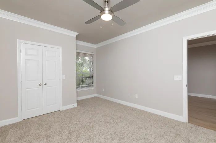 Bright, modern bedroom with plush carpet, ceiling fan, and large window with natural light.