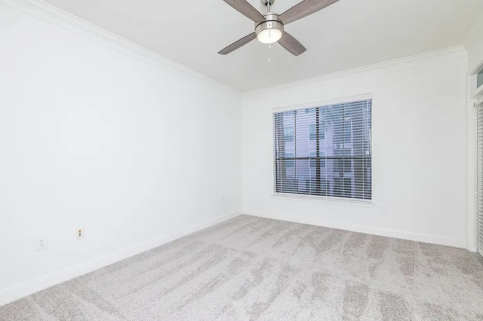 Bright, airy room with plush carpet, modern ceiling fan, and large window offering natural light.