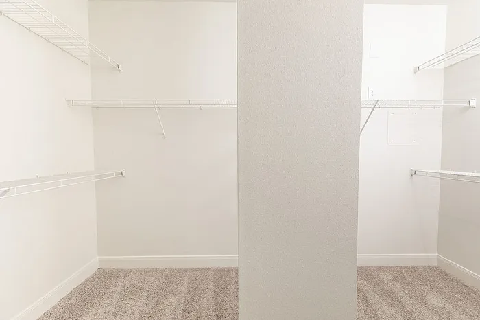 Spacious closet with carpet flooring and ample shelving for organized storage.