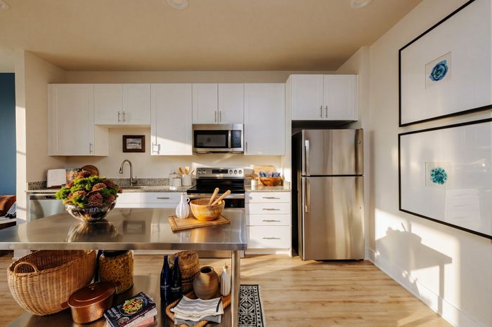 Modern kitchen with sleek stainless steel appliances, white cabinetry, and stylish decor, perfect for culinary creativity.