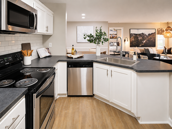 Elegant modern kitchen with stainless steel appliances, sleek countertops, and a cozy open-plan living area featuring stylish decor.