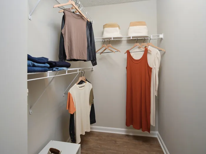 Spacious walk-in closet with organized shelving and stylish garment display, featuring modern decor accents.