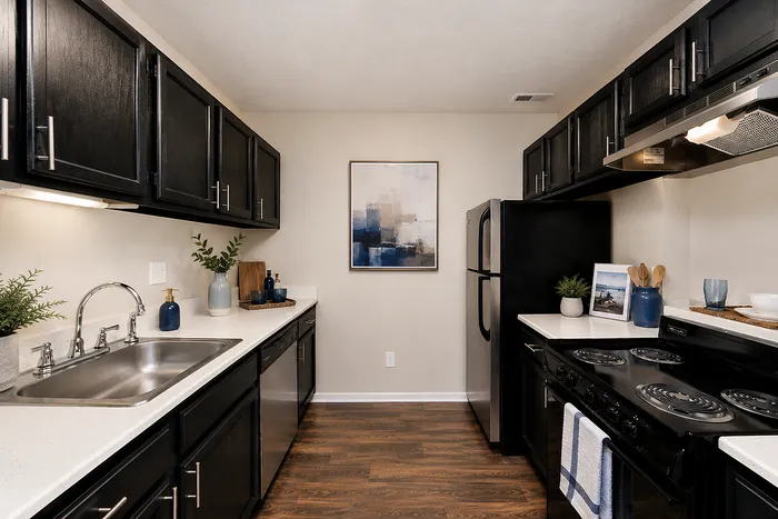 Modern kitchen with sleek dark cabinetry, elegant appliances, and stylish decor for a chic apartment living experience.