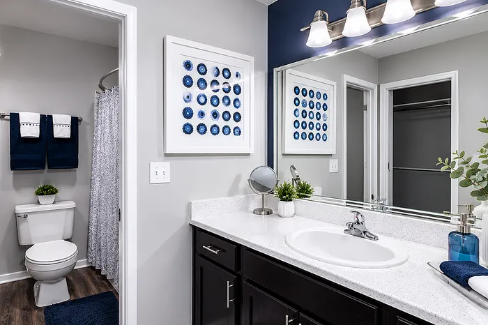 Modern bathroom featuring sleek vanity with granite countertop, elegant fixtures, tasteful wall art, and vibrant blue accents.