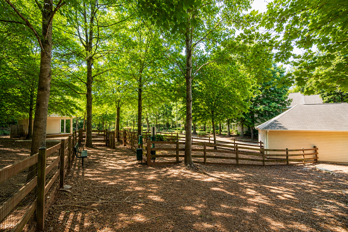 Charming backyard featuring a lush green landscape with mature trees and a quaint wooden fence, perfect for relaxation and outdoor activities.