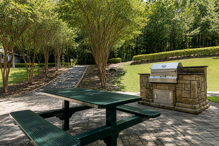 Charming outdoor area featuring a green picnic table and built-in stone barbecue grill, surrounded by lush greenery and paved pathways.