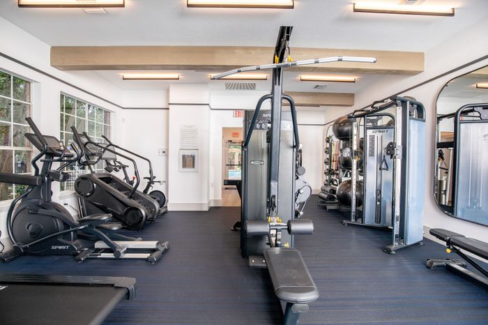 Modern fitness center featuring state-of-the-art cardio equipment and versatile strength training machines.