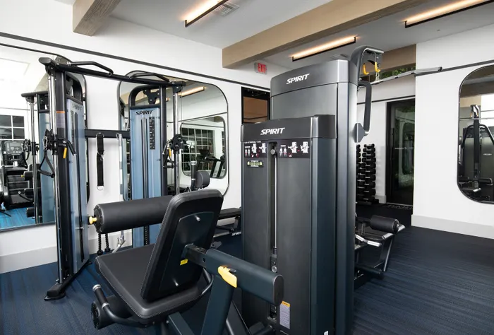Modern apartment gym featuring state-of-the-art exercise equipment and stylish design.