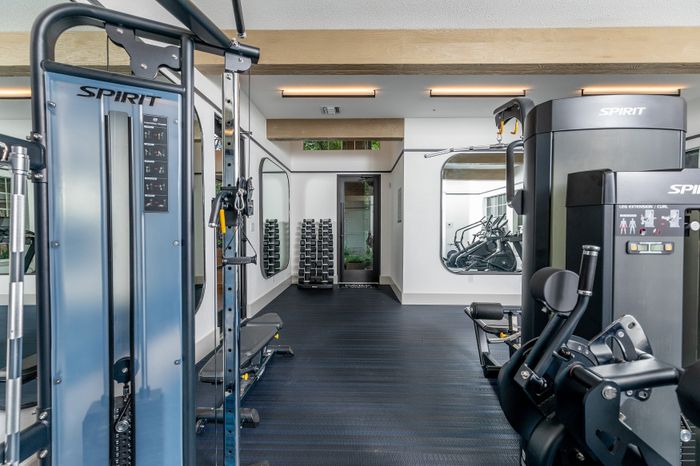 Modern gym with advanced Spirit fitness equipment, large mirrors, and a stack of free weights creating a sleek workout environment.